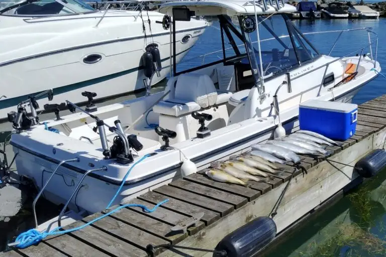 Walleye Fishing & Learning Charter — Outer Bay Sportfishing – Outer Bay Sportfishing