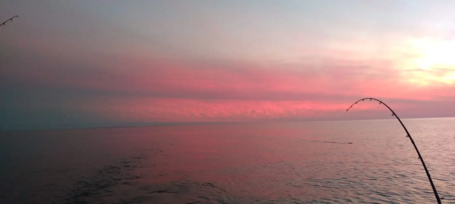 Walleye Fishing & Learning Charter — Outer Bay Sportfishing – Outer Bay Sportfishing